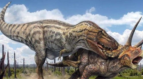 《解限机三角龙攻略：轻松上手三角龙玩法》