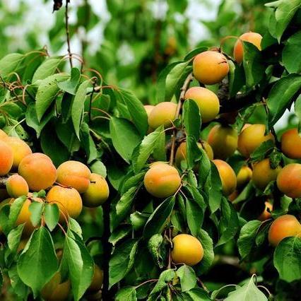 《次元3.0新玩法揭秘！《全球使命3》夏日解锁狂欢》