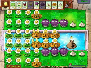 《植物大战僵尸》攻略:轻松上手,趣味无限挑战! 《植物大战僵尸》攻略:轻松上手,趣味无限挑战!