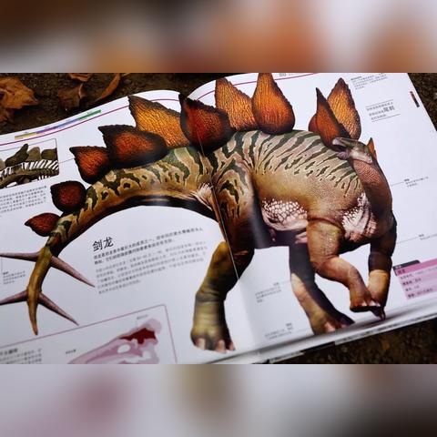 剑龙冰DK卡组攻略:高效构筑秘籍曝光 剑龙冰DK卡组攻略:高效构筑秘籍曝光