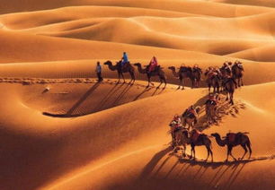 《剑星》大沙漠鱼拍照圣地,双鱼支线攻略秘籍曝光 《剑星》大沙漠鱼拍照圣地,双鱼支线攻略秘籍曝光