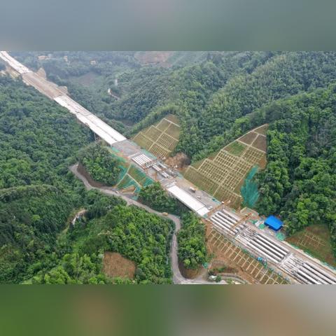 2025年必看：照片模式缺席，游戏体验大打折扣