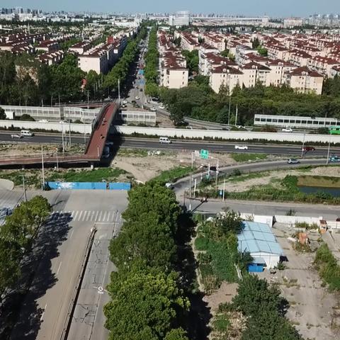 2025年必看：照片模式缺席，游戏体验大打折扣