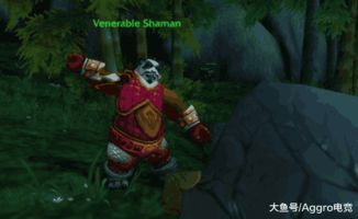 《魔兽世界》国服20周年狂欢！熊猫人怀旧服独家揭秘