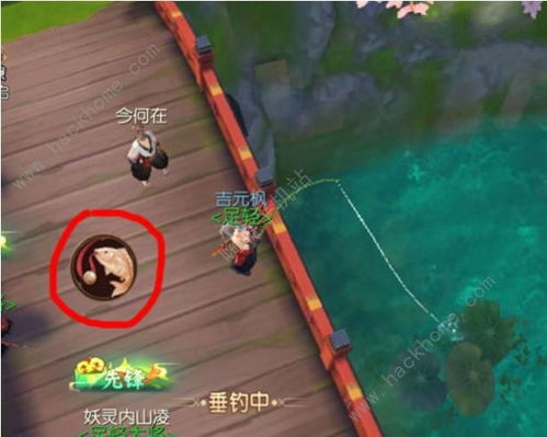 《剑星钓鱼攻略：隐藏点位与高效技巧揭秘》