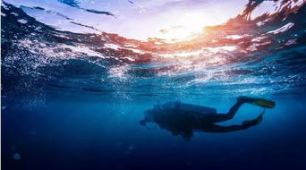 《鸣潮水底探险:揭秘等待你的神秘世界》 《鸣潮水底探险:揭秘等待你的神秘世界》