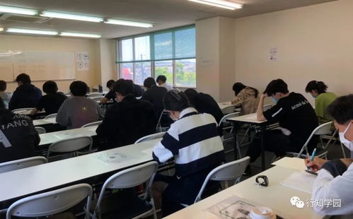 《全面解锁模拟人生4:收藏心得大揭秘》 《全面解锁模拟人生4:收藏心得大揭秘》