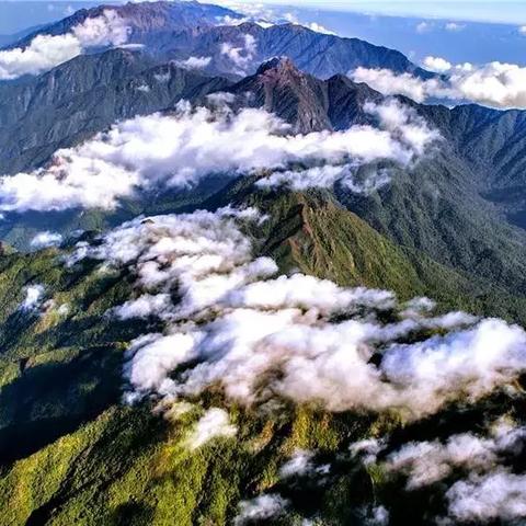 大话西游天津文旅联动狂欢!嘉年华独家亮点抢先看 大话西游天津文旅联动狂欢!嘉年华独家亮点抢先看