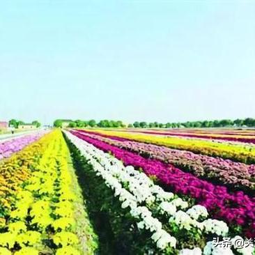 《完美国际2》8月6日梦幻启航,入梦仙集等你来! 《完美国际2》8月6日梦幻启航,入梦仙集等你来!