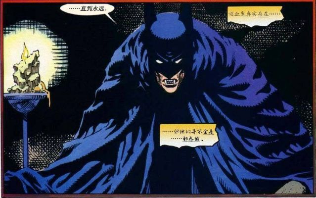 《布鲁斯·韦恩：蝙蝠侠背后的神秘英雄》