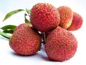 《燕云十六声》荔枝套染七天不重样,仅需6元!超值! 《燕云十六声》荔枝套染七天不重样,仅需6元!超值!