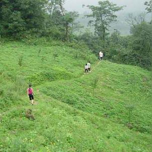 《明末渊虚之羽》熊猫商人寻宝攻略:揭秘神秘藏匿之地 《明末渊虚之羽》熊猫商人寻宝攻略:揭秘神秘藏匿之地