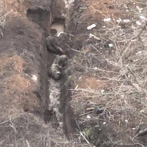 《战地6》价格曝光:普通版/幻影版,玩家直呼性价比高! 《战地6》价格曝光:普通版/幻影版,玩家直呼性价比高!