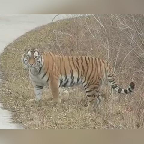 《王之凝视》新手必看!快速上手攻略全解析 《王之凝视》新手必看!快速上手攻略全解析