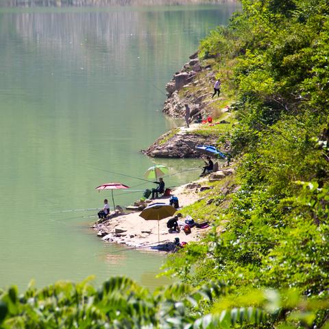 《四海兄弟》新篇发售！《杀手》玩家必看攻略揭秘