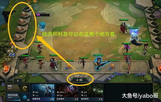 《金铲铲之战》紧急调整！「果实垫子」机制下线，揭秘后续影响