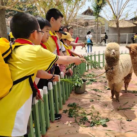 《逍遥情缘》高颜值萌宠盘点:谁不想拥有? 《逍遥情缘》高颜值萌宠盘点:谁不想拥有?