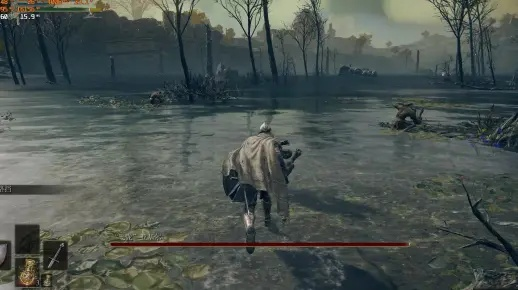 《NS2版《老头环》科隆试玩翻车!帧数不足30帧惊魂体验》 《NS2版《老头环》科隆试玩翻车!帧数不足30帧惊魂体验》