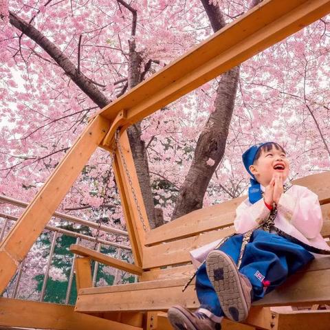 《秒速5厘米》釜山电影节大热,亚洲多国上映同步开启! 《秒速5厘米》釜山电影节大热,亚洲多国上映同步开启!