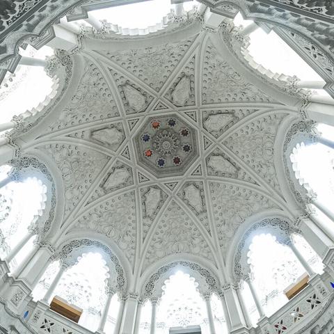 《失落城堡》公益联动大揭秘：新外观&宠物惊艳亮相！