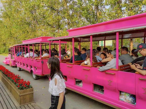 《鸣潮》深塔满星攻略：阵容搭配技巧揭秘