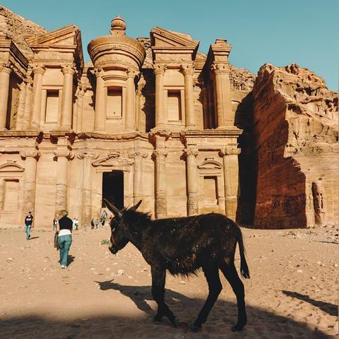 《失落之魂》平台跳跃：隐藏的巧妙设计揭秘