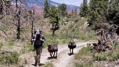 《荒野》帐篷尴尬？新功能助你户外狩猎搭配攻略