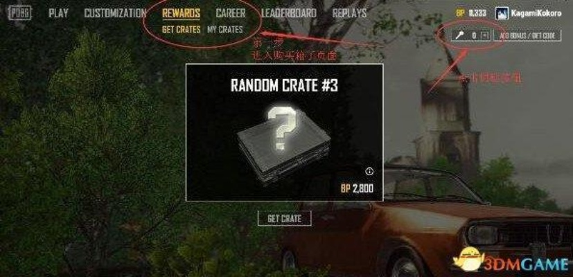 《绝地求生》复活芯片攻略:新版本使用技巧大揭秘! 《绝地求生》复活芯片攻略:新版本使用技巧大揭秘!