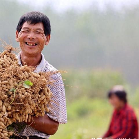 国区玩家怒了!新作涨价背后:揭秘日厂“双重标准”新规揭秘 国区玩家怒了!新作涨价背后:揭秘日厂“双重标准”新规揭秘