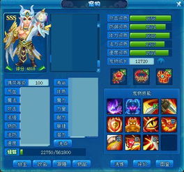 《逍遥情缘》宠物盾卫升级必备：天罡守护神助力战力飙升