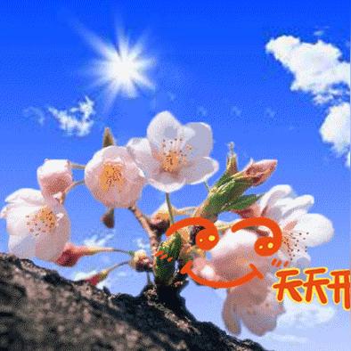 《逍遥情缘》手游周年狂欢,白色凤凰骑乘,奏鸣曲响彻九霄,独家福利大放送! 《逍遥情缘》手游周年狂欢,白色凤凰骑乘,奏鸣曲响彻九霄,独家福利大放送!