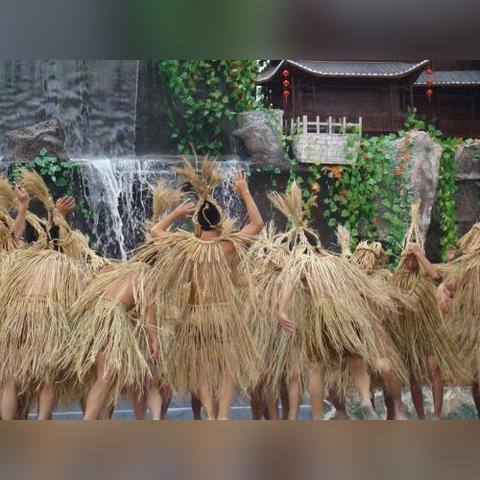 《荒野起源》抄袭风波揭秘:屡遭拒合作,独家内幕曝光! 《荒野起源》抄袭风波揭秘:屡遭拒合作,独家内幕曝光!