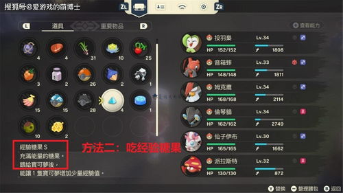 高效攻略！《宝可梦传说ZA》轻松刷出闪光伊布，掌握独门秘籍