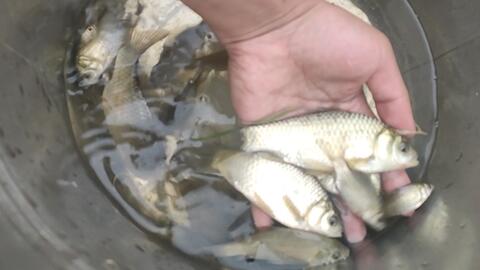 《逃离鸭科夫》攻略：钓获大眼红鱼秘籍大揭秘！