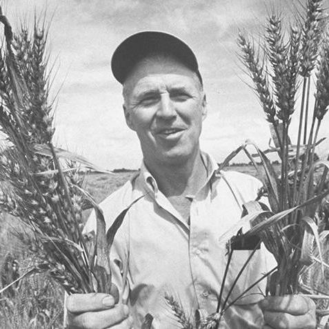 《全面战争：三国》全新突破！揭秘神秘大神改写攻略秘籍