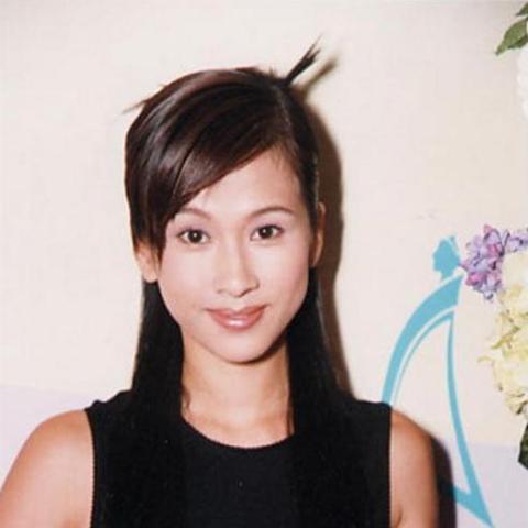 《遗忘之海》新篇章：告别大陆，探索未知开放世界