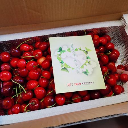 《寄梦远方》评测：穿越记忆，解锁生活新维度体验