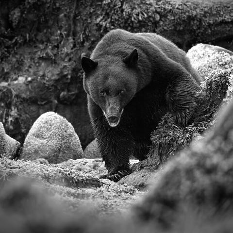 《怪物猎人：荒野》评测：传承经典，再创新高