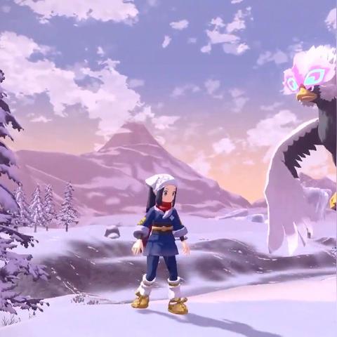 《宝可梦传说Z-A》伊布捕捉攻略：揭秘高效捕捉伊布的秘密技巧