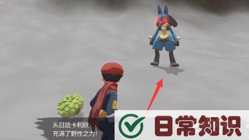 《宝可梦传说Z-A》捕捉利欧路攻略：揭秘高效捕获利欧路秘境