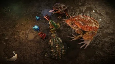 《绝对魔权》探秘：揭秘青蛙幼崽隐藏位置攻略！