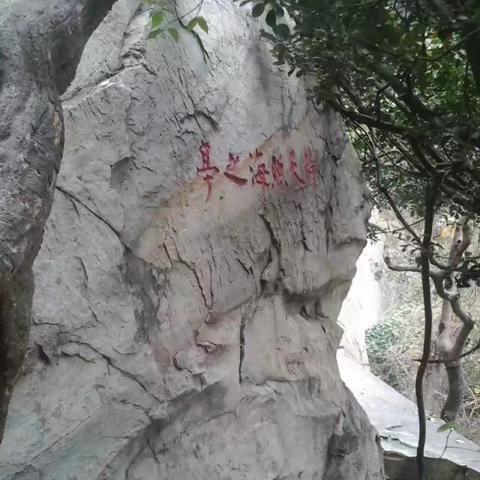 花果山风光无限，《逍遥情缘》带你畅游大圣老家