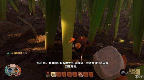 《禁闭求生》评测:昆虫控玩家的单人冒险乐园 《禁闭求生》评测:昆虫控玩家的单人冒险乐园