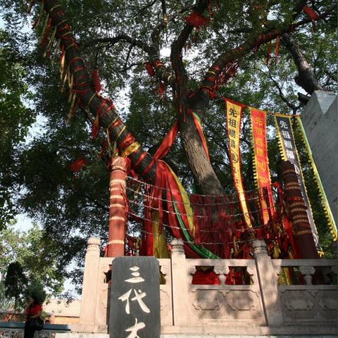 《族人》EA评测:苏格兰拓荒之旅,体验7分好评之旅 《族人》EA评测:苏格兰拓荒之旅,体验7分好评之旅