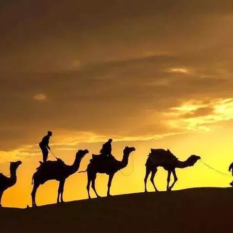 《沙石镇时光》探秘：戈壁捡宝之旅，尽享复古冒险