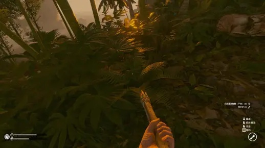 《绿色地狱》评测：求生之旅残酷恶心，体验极致生存挑战