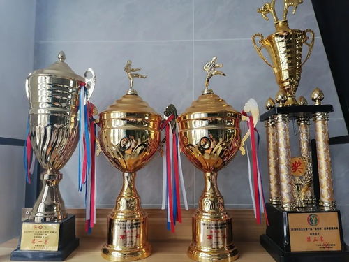 《羊蹄山之魂》水墨画攻略：丹青之心奖杯必得技巧揭秘