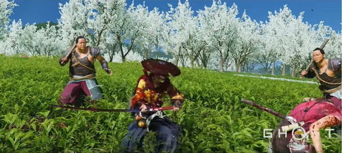 羊蹄山之魂拍照技巧揭秘:解锁独特摄像玩法新境界 羊蹄山之魂拍照技巧揭秘:解锁独特摄像玩法新境界