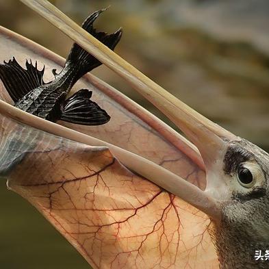 《太空漫游创意无限！《观察》评测8.4分佳作》