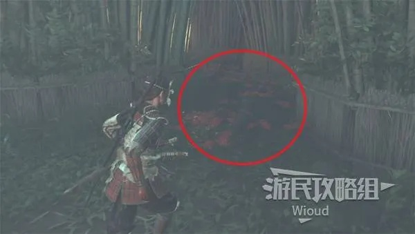 《羊蹄山之魂》彼岸花大将攻略:高效完成支线任务技巧揭秘 《羊蹄山之魂》彼岸花大将攻略:高效完成支线任务技巧揭秘